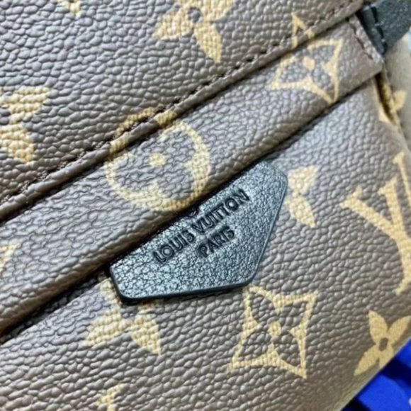 LV new monogram brown Palm Springs small main image 7